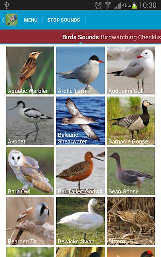 UK Birds Sounds Free स्क्रीनशॉट 2