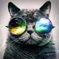 Hipster Wallpapers on 9Apps