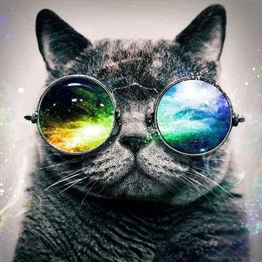 Hipster Wallpapers 1.0.0