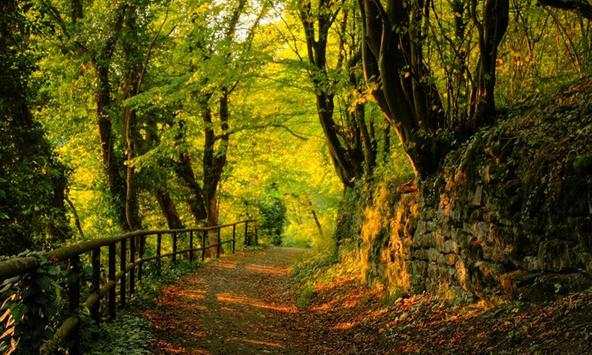 Autumn wallpapers screenshot 1