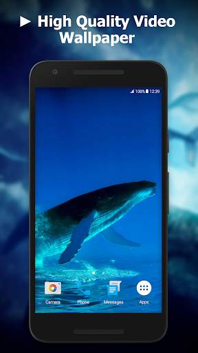 Blue Whale Video Live Wallpaper screenshot 1