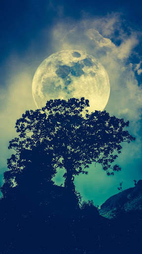 Moon HD Wallpapers screenshot 1