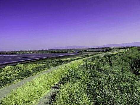 HDR Camera   screenshot 4