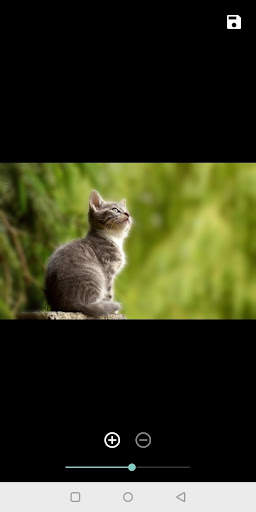 Bokeh Camera (Beta) screenshot 5