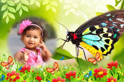 Butterfly Photo Frames screenshot 7