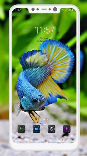 Betta Fish Wallpaper screenshot 2