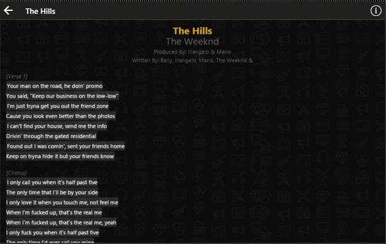 Lyrics Nerd screenshot 3