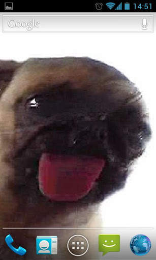 Dog Licker Live Wallpaper FREE screenshot 1