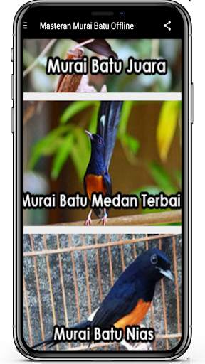 Masteran Murai Batu Offline Terlengkap 5 تصوير الشاشة