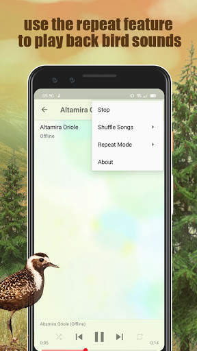 All Bird Sound And Ringtones screenshot 3