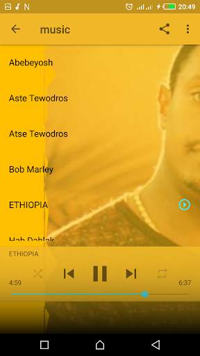 Teddy Afro Top - New Songs Without Internet screenshot 6