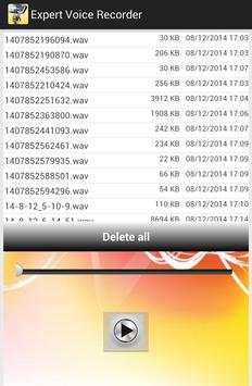 Expert Voice Recorder screenshot 2