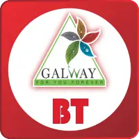 Galway BT icon