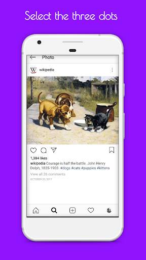 InSaver for Instagram screenshot 4
