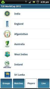 T20 Cricket screenshot 5