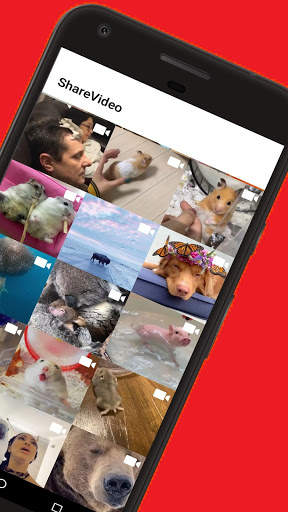 ShareVideo - Video Status For Share , Chat screenshot 1