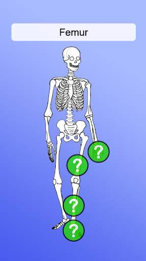 Anatomy Game screenshot 3