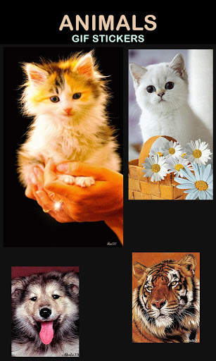 Animal Gif Stickers screenshot 7