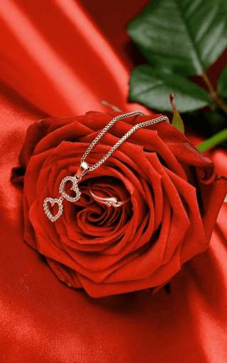Red Rose Wallpaper screenshot 8