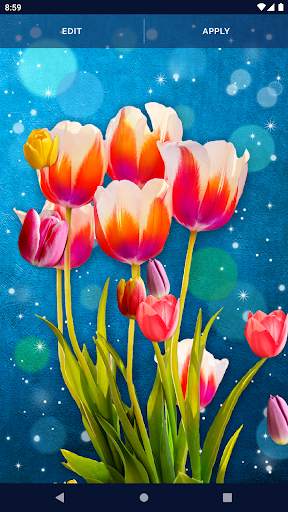 Spring Tulip Live Wallpaper screenshot 5