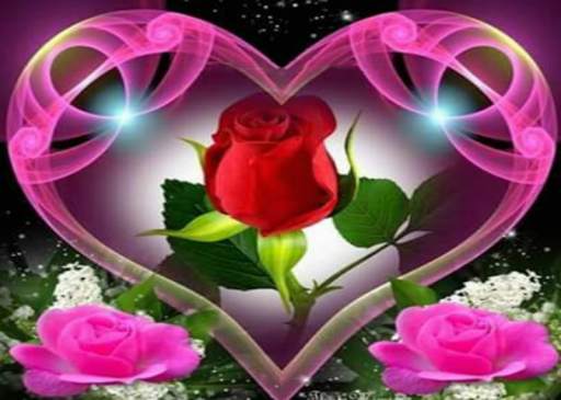 Wonderful Flowers Roses Animated images Gif 3 تصوير الشاشة