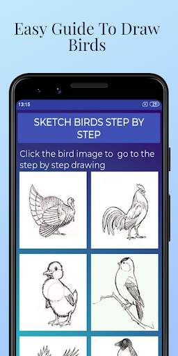 How to draw birds step by step easily screenshot 1