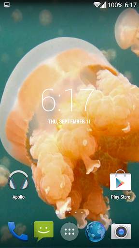Jellyfish. Video Wallpaper screenshot 2