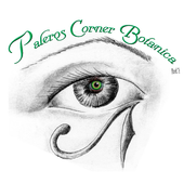 PRO TAROT  icon