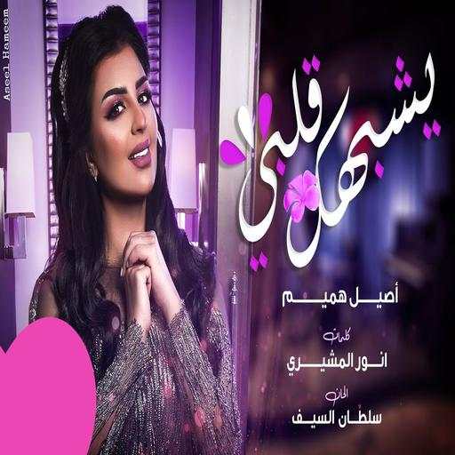 A song that looks like my heart - Aseel Hamim 2020 1.0