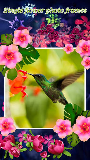Flower Photo Frames screenshot 20