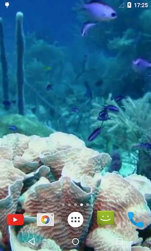 Marine Aquarium Live Wallpaper screenshot 1