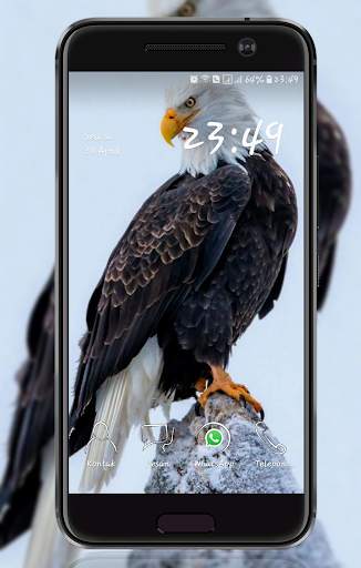 Eagle  Wallpaper screenshot 2