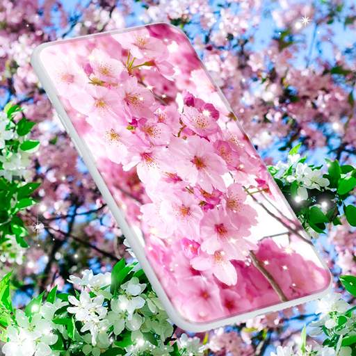 Sakura Flower Live Wallpaper 6.9.23