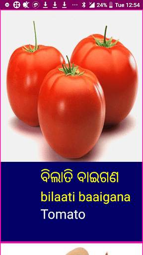 Learn Odia Fruits and Vegetables Names скриншот 6