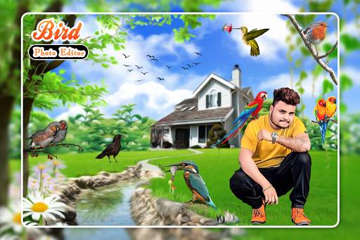 Bird Photo Editor screenshot 3