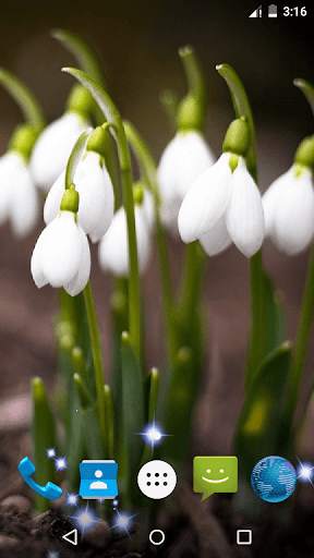 Spring Flowers Live Wallpaper screenshot 1