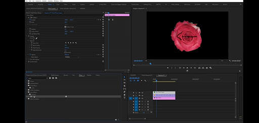 Premiere Clip - Guide for Adobe Premiere Pro screenshot 7