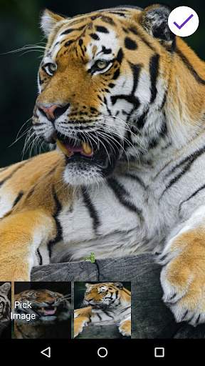 Tiger Lock Screen 7 تصوير الشاشة
