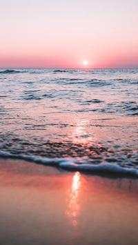 Summer Video Live Wallpaper скриншот 4