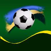 Calcio 1.3