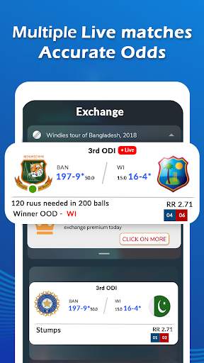 Live Cricket Score: Live Score 2021 screenshot 2
