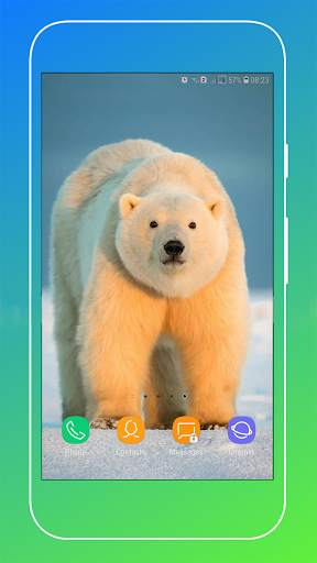 New Polar Bear Wallpaper screenshot 3
