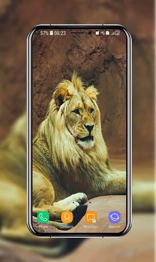New Lion Wallpaper screenshot 9