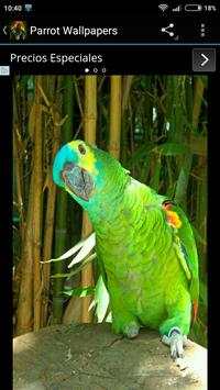 Parrot Wallpapers 4 تصوير الشاشة