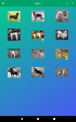 Dog Quiz: Guess the Breed — Game, Pictures, Test screenshot 11