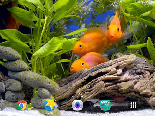 Aquarium 4K Live Wallpaper screenshot 11