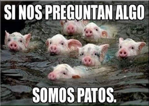 Memes para Whatsapp screenshot 2