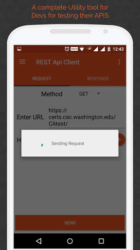 REST Api Client Android screenshot 6