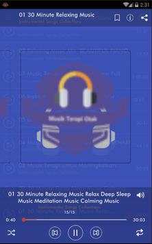 Full Musik Terapi Otak Suara Alam screenshot 2