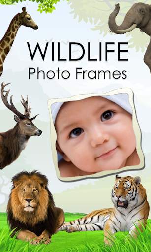 Wildlife Photo Frames screenshot 1